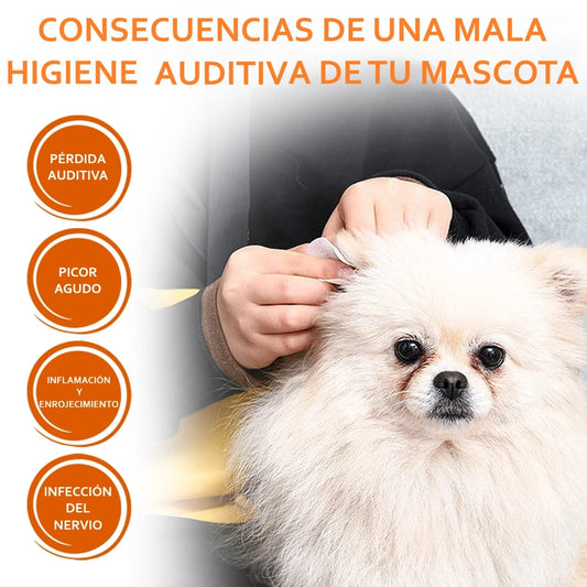 consecuencias mala higiene oídos de perro. Sordera, picor, inflamación, infección. 
