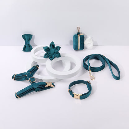 Conjunto de paseo elegante para perros y gatos | 6 piezas