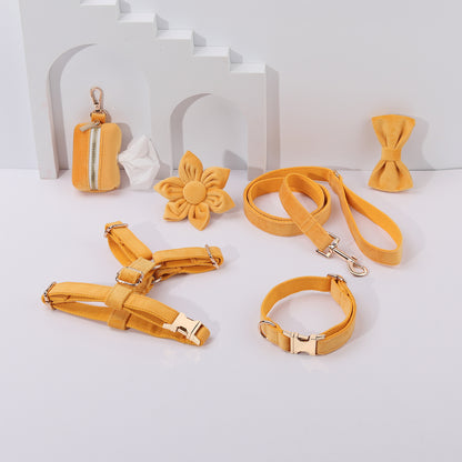 Conjunto de paseo elegante para perros y gatos | 6 piezas