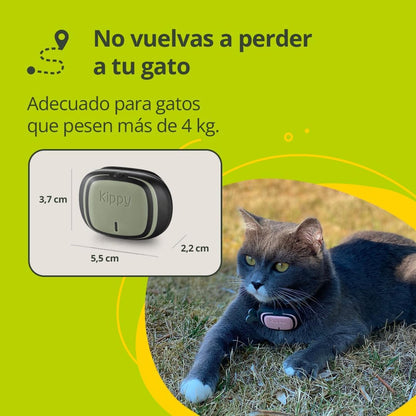 Kippy EVO GPS Premium: localizador antifuga + monitor de salud canina y felina