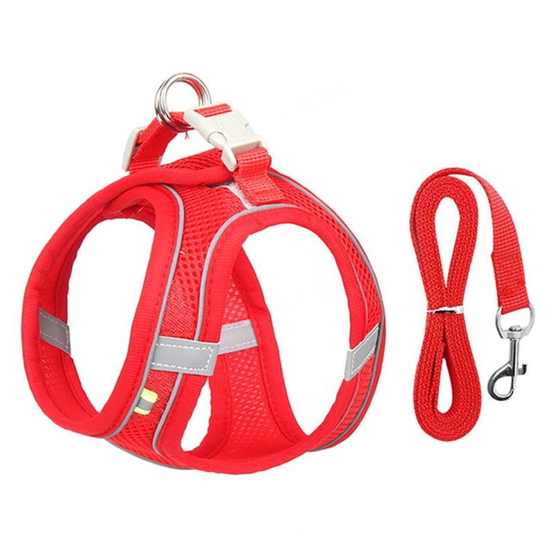 Adjustable Dog Harness and Leash Set for Small Breeds - Ideal for Puppies, Cats, French Bulldogs, Chihuahuas, and Pugs - Perfect for Outdoor Walks