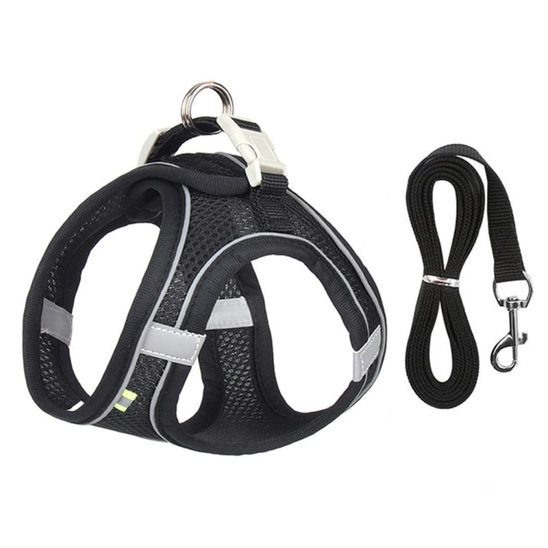 Adjustable Dog Harness and Leash Set for Small Breeds - Ideal for Puppies, Cats, French Bulldogs, Chihuahuas, and Pugs - Perfect for Outdoor Walks
