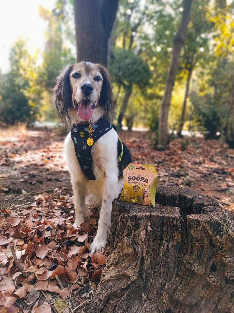 Palitos dentales para perros: berza y manzana, 50 G