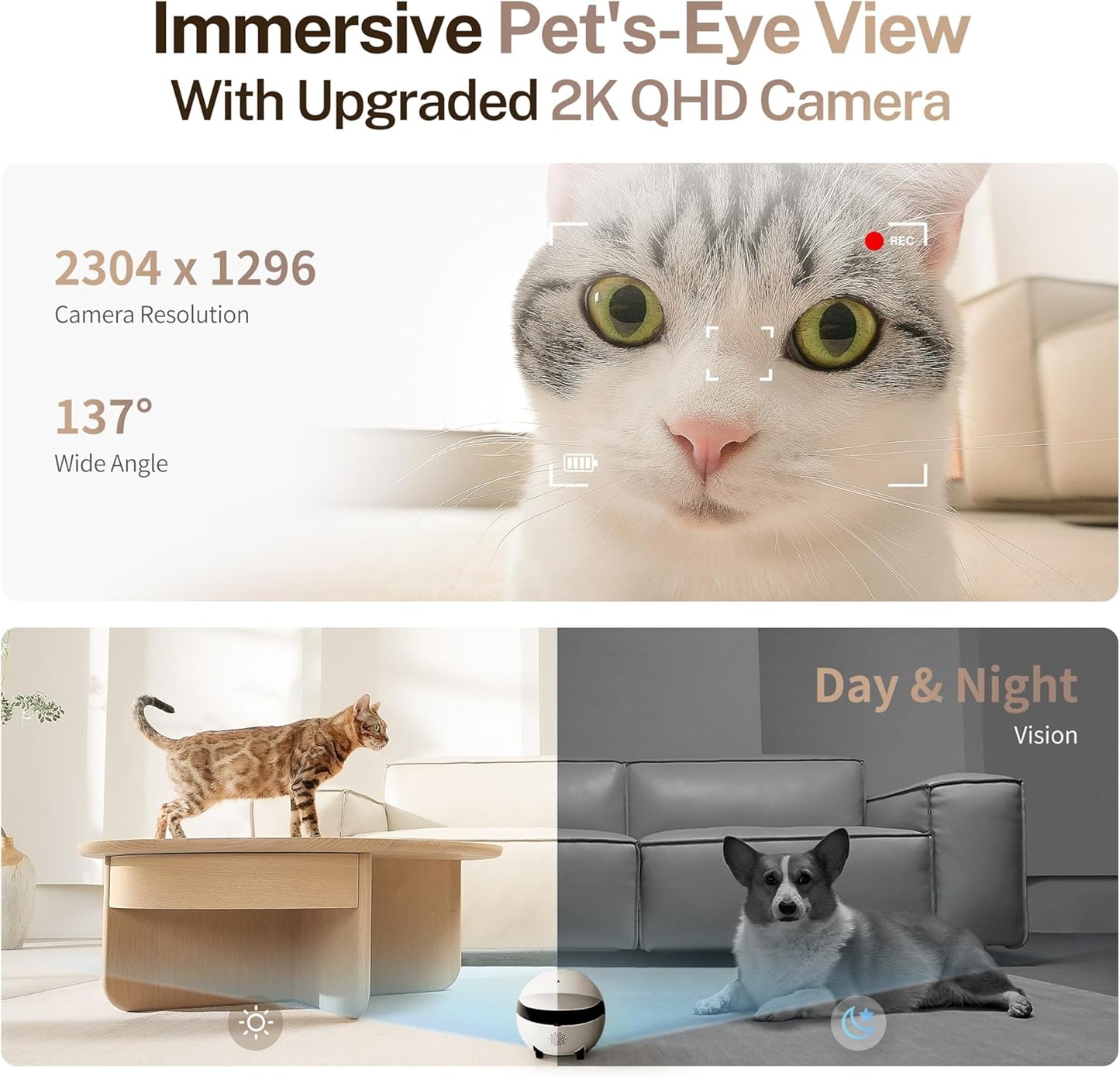 Enabot EBO ROLA Mini: cámara robot móvil 2K para mascotas