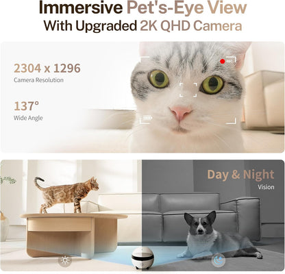 Enabot EBO ROLA Mini: cámara robot móvil 2K para mascotas