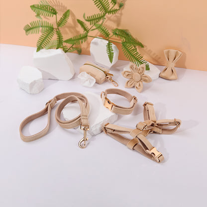 Conjunto de paseo elegante para perros y gatos | 6 piezas