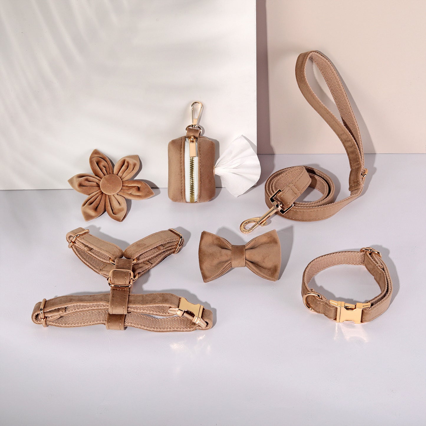 Conjunto de paseo elegante para perros y gatos | 6 piezas