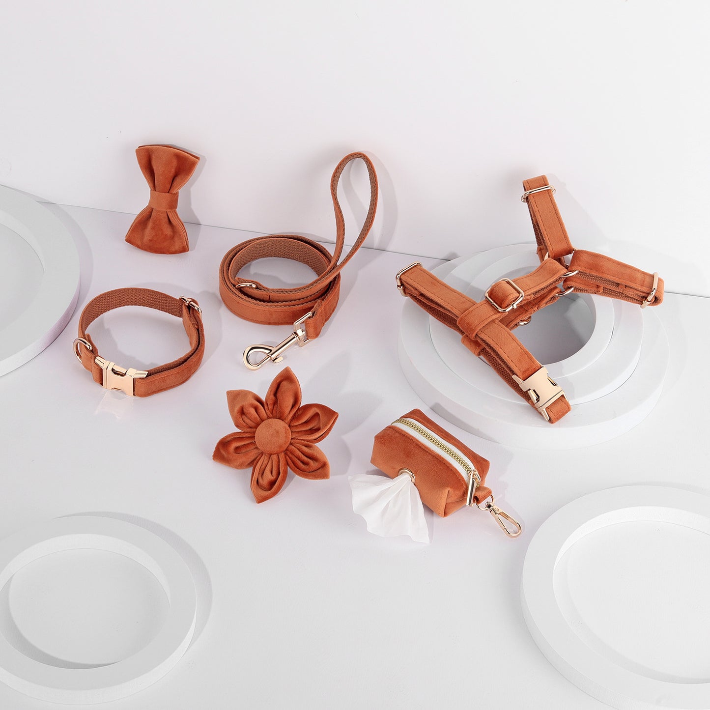 Conjunto de paseo elegante para perros y gatos | 6 piezas