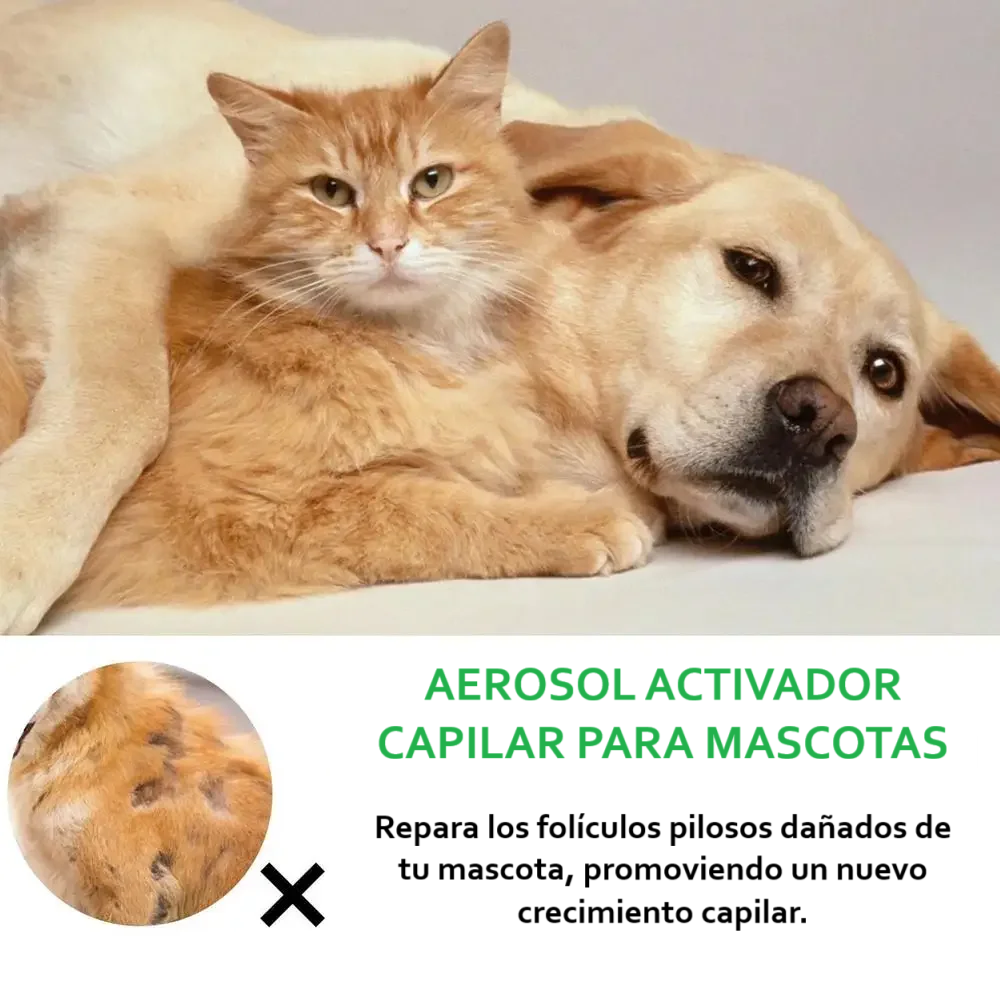 Espray-aerosol activador capilar: fórmula natural para el crecimiento de pelo en perros y gatos (30ml)