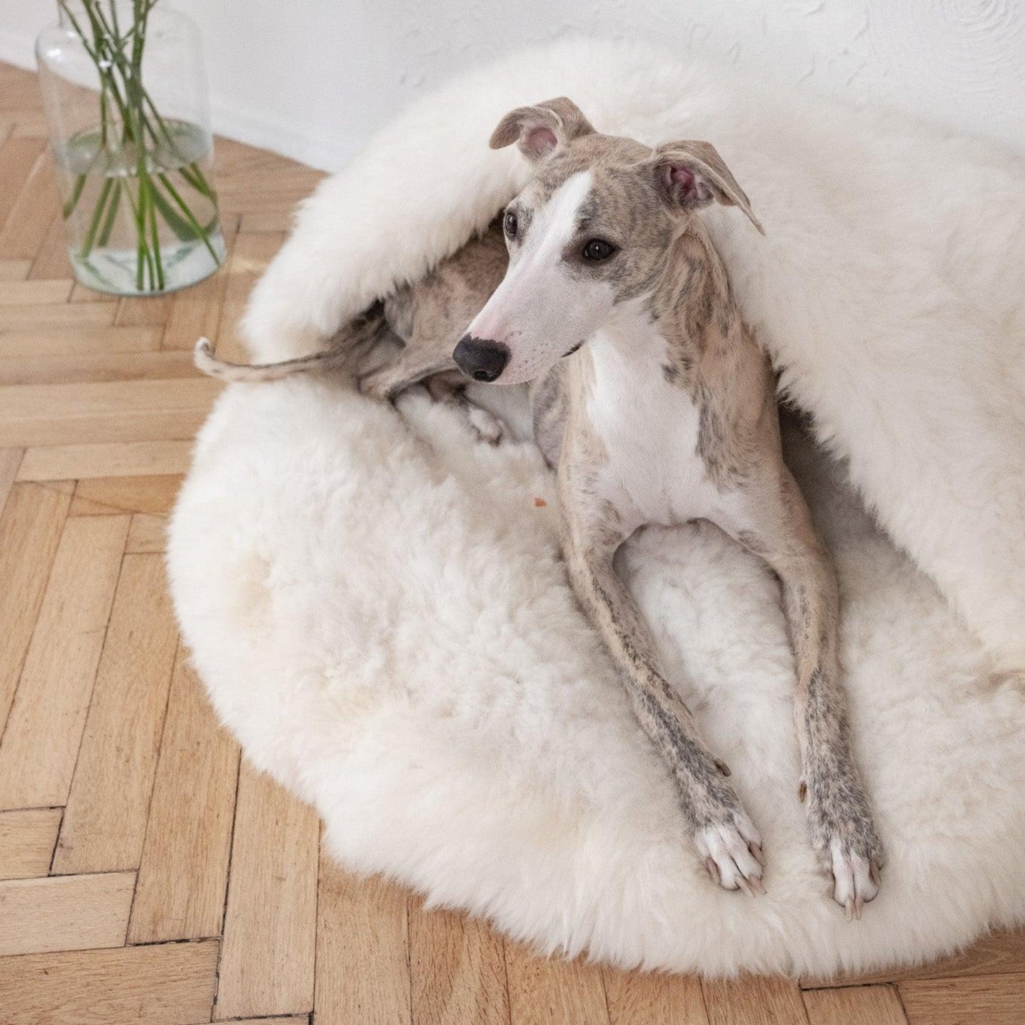 Natural Sheepskin Pet Cave - White-1