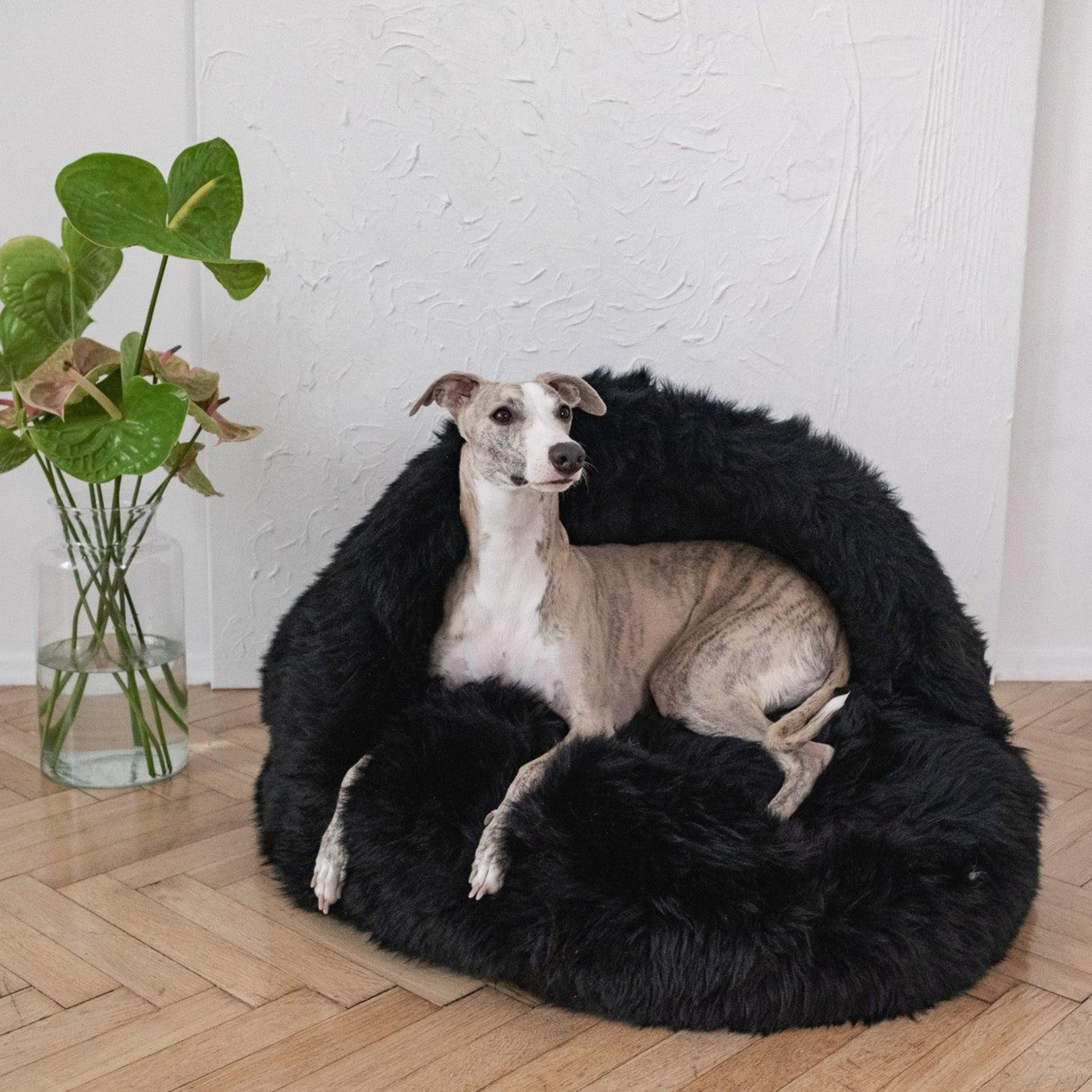 Natural Sheepskin Pet Cave - Black-0