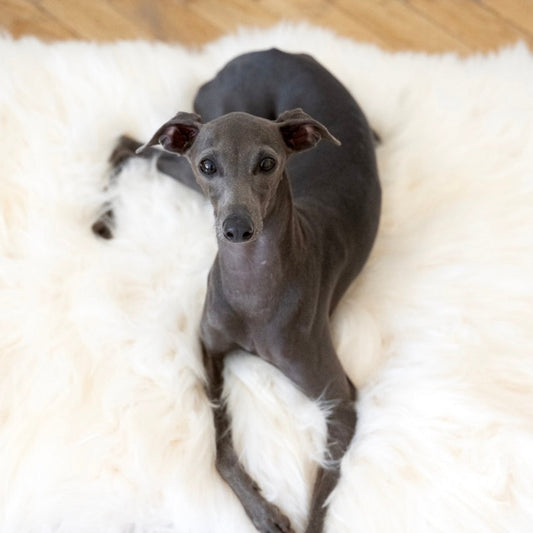 Square or Rectangular Natural Sheepskin Pet Mat - White-0