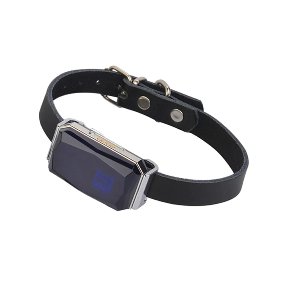 Localizador GPS inteligente G12: resistencia IP67 y 5 modos de posicionamiento