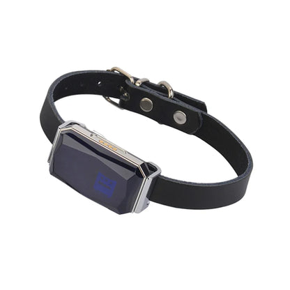 Localizador GPS inteligente G12: resistencia IP67 y 5 modos de posicionamiento