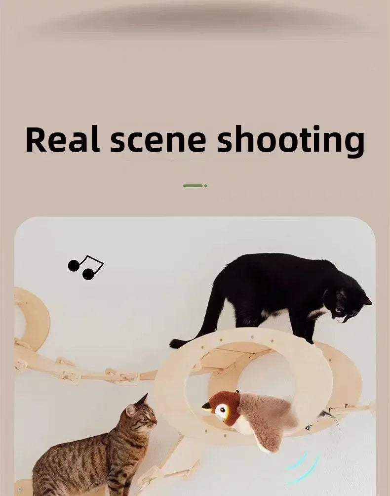 gorrión de juguete para gatos. Vuela y trina realista