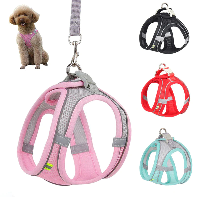 Adjustable Dog Harness and Leash Set for Small Breeds - Ideal for Puppies, Cats, French Bulldogs, Chihuahuas, and Pugs - Perfect for Outdoor Walks